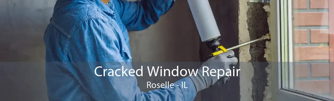 Cracked Window Repair Roselle - IL