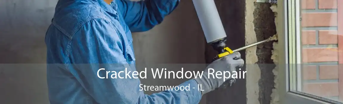 Cracked Window Repair Streamwood - IL