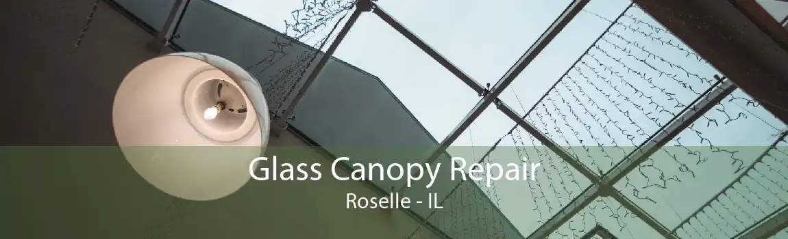 Glass Canopy Repair Roselle - IL