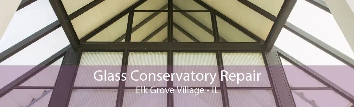 Glass Conservatory Repair Elk Grove Village - IL