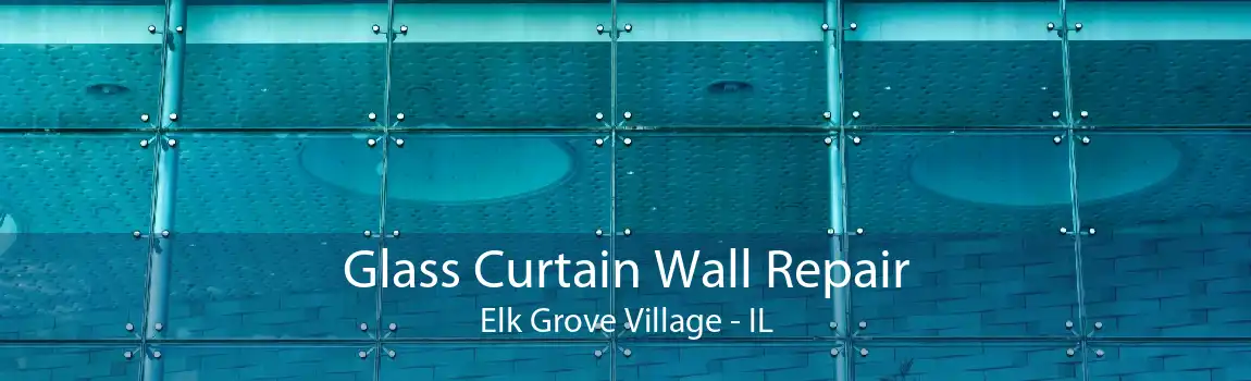 Glass Curtain Wall Repair Elk Grove Village - IL