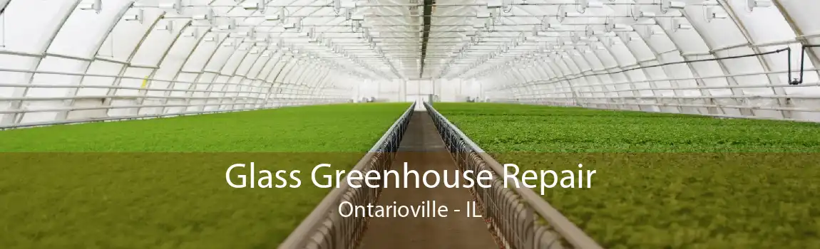 Glass Greenhouse Repair Ontarioville - IL