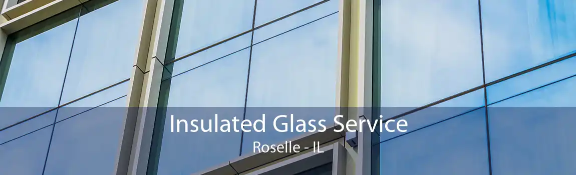 Insulated Glass Service Roselle - IL