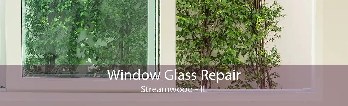Window Glass Repair Streamwood - IL