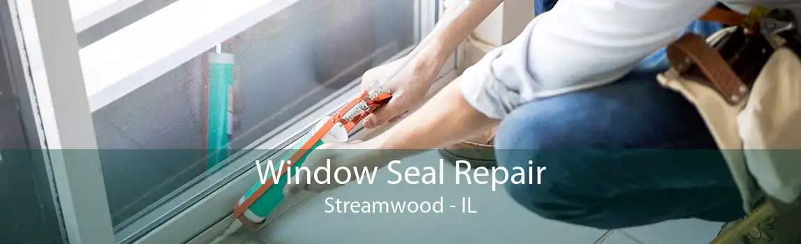 Window Seal Repair Streamwood - IL